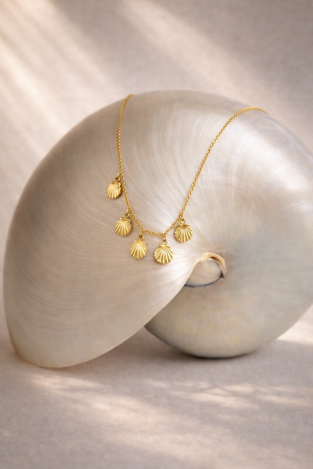 Necklace Shell